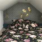 La Petite Brainoise - Avec Salle Jacuzzi 120 Jets Braine