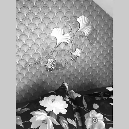 Apartment La Petite Brainoise - Avec Salle Jacuzzi 120 Jets *