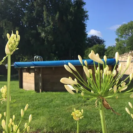 Apartment La Petite Brainoise - Avec Salle Jacuzzi 120 Jets