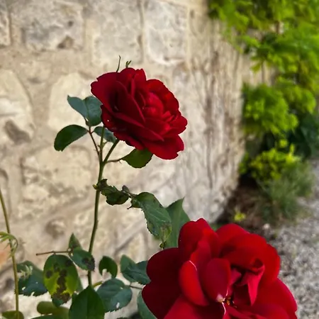 Apartment La Petite Brainoise - Avec Salle Jacuzzi 120 Jets