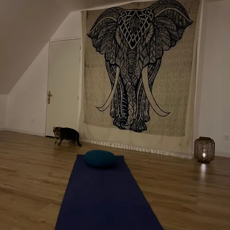 La Petite Brainoise - Avec Salle Jacuzzi 120 Jets Apartment