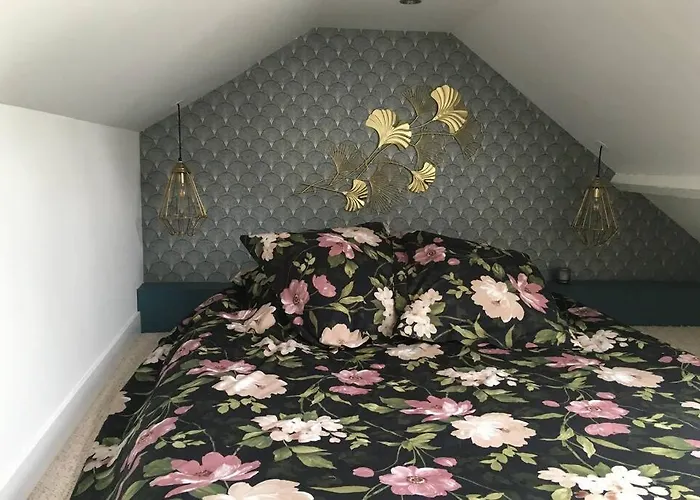 La Petite Brainoise - Avec Salle Jacuzzi 120 Jets Braine