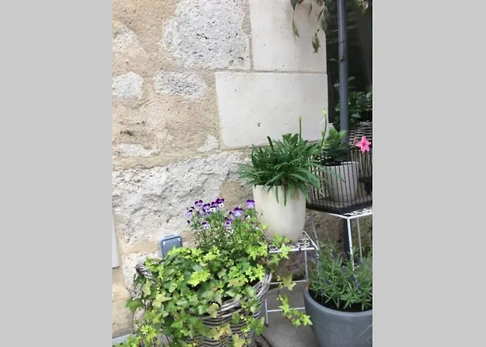 La Petite Brainoise - Avec Salle Jacuzzi 120 Jets