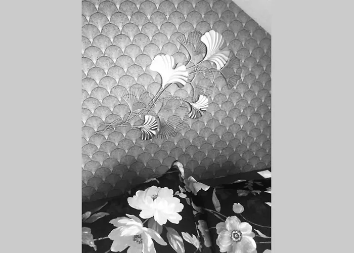 Apartment La Petite Brainoise - Avec Salle Jacuzzi 120 Jets *