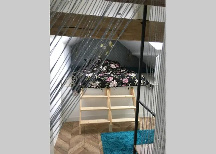 Apartment La Petite Brainoise - Avec Salle Jacuzzi 120 Jets