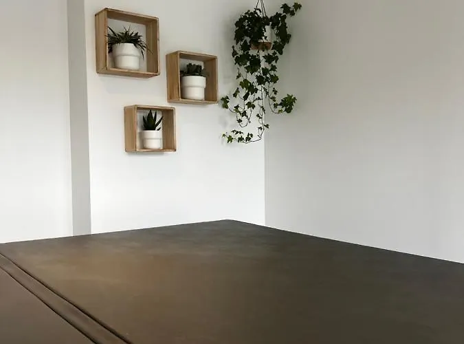 La Petite Brainoise - Avec Salle Jacuzzi 120 Jets Apartment