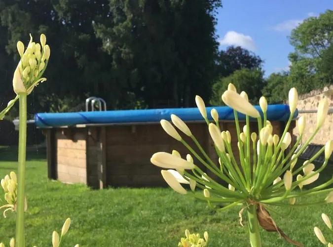 Apartment La Petite Brainoise - Avec Salle Jacuzzi 120 Jets