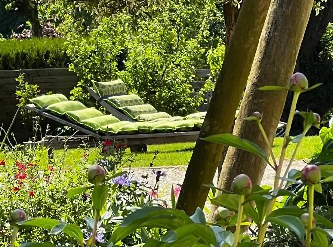 La Petite Brainoise - Avec Salle Jacuzzi 120 Jets