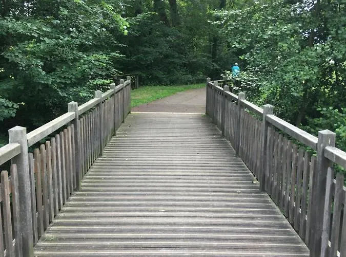 Apartment La Petite Brainoise - Avec Salle Jacuzzi 120 Jets