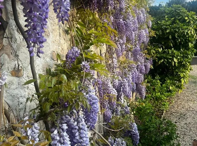 La Petite Brainoise - Avec Salle Jacuzzi 120 Jets Apartment Braine