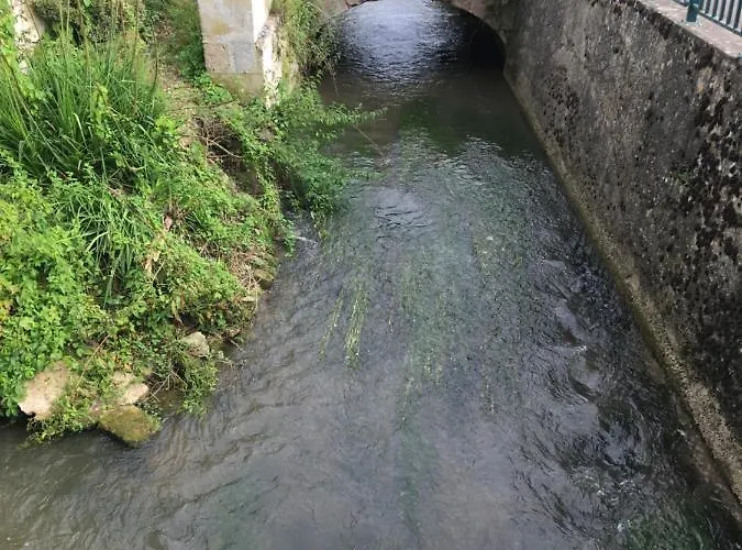 Apartment La Petite Brainoise - Avec Salle Jacuzzi 120 Jets Braine